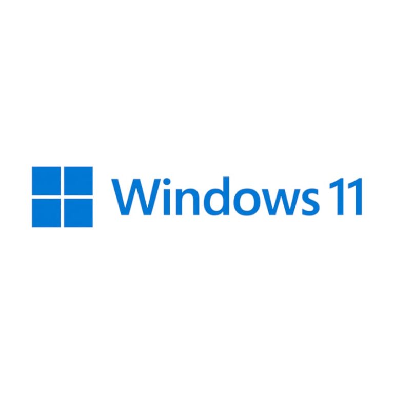 MICROSOFT WIN 11 PRO 64BIT DSP -