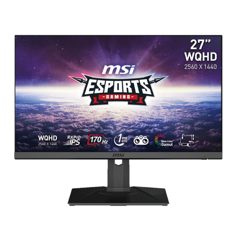 MSI G272QPF 27" Gaming Monitor 2560 x 1440 (QHD) Rapid IPS 1ms 170Hz G-Sync Compatible HDR Ready HDMI Displayport Tilt Swivel Height Adjustable Pivot Black