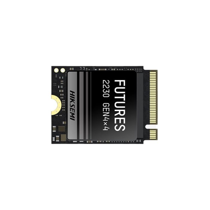 HIKSEMI Future S 1TB M.2 NVME 2230 Solid State Drive -