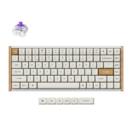 Keychron K2 HE Wireless Special Edition Magnetic Custom Keyboard | NEBULA Switch – White White