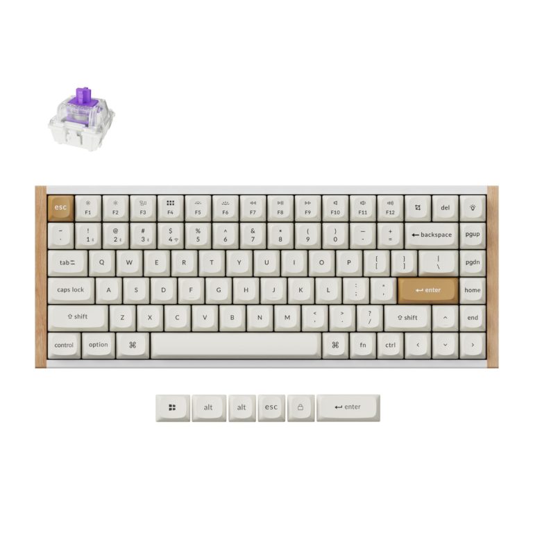 Keychron K2 HE Wireless Special Edition Magnetic Custom Keyboard | NEBULA Switch – White White