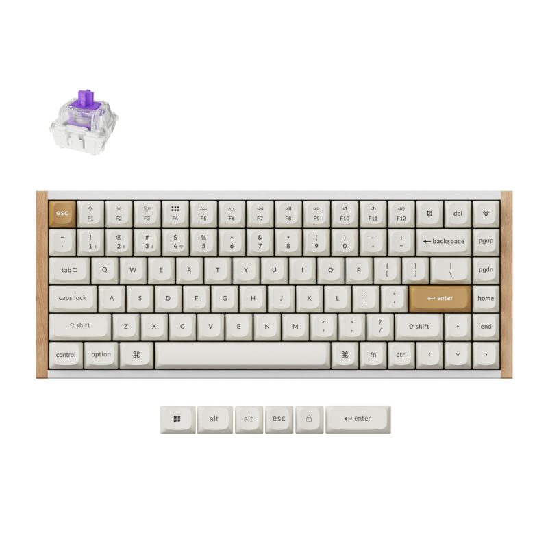 Keychron K2 HE Wireless Special Edition Magnetic Custom Keyboard | NEBULA Switch – White White