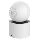 AI Detection